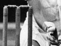 Trish McKelvey 