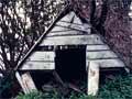 Castaway depot, Auckland Islands