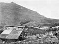 Woolshed and sheep yards, Campbell Island, 1907