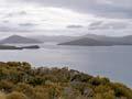 Carnley Harbour