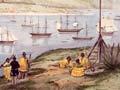 Colonising the landscape