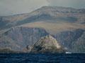 Auckland Island from Disappointment Island