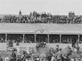 Whanganui racecourse development