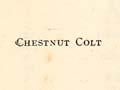 Phar Lap: a chestnut colt