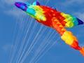 Manu Aute Kite Day, Auckland, 2011