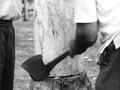 Putaruru Axemen's Carnival, 1953