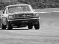 Mustang versus Mini, Levin, 1969