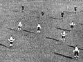 Lancaster Park, Christchurch, 1908