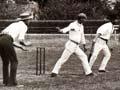 Posed cricket photograph