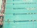Video: Commonwealth Games medals: Mark Treffers, 1974