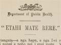 Māori health publication, <em>Etahi mate rere</em>, 1902