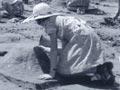 Sandcastle competition 