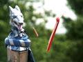 Jousting, 2010