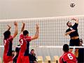 Volleyball club championships, 2011