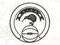 Netball skills award scheme