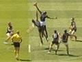 Video: New Zealand Hawks