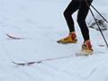 Ski orienteering