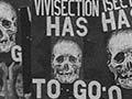 Anti-vivisection march