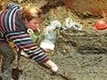 Uncovering Plimmer's Ark 