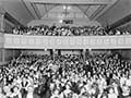 Theatre Royal: a packed house 