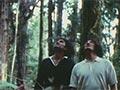 Felling a tree for carving, 1974