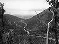 James Bragge's photo of Wairarapa, 1870s
