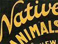 <em>Native animals of New Zealand</em>