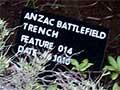 Gallipoli survey 