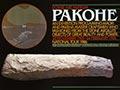 Dowse Art Museum's Pakohe exhibition, 1985–86
