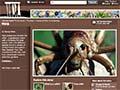 Images showing evolution of the design of a Te Ara page