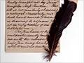 Letter and huia feather from William Colenso