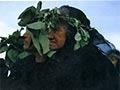 Donna Awatere's <em>Maori sovereignty</em>