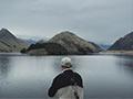 <em>The New Zealand story </em>