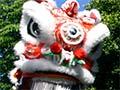 A lion dance