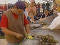 Seafood festival