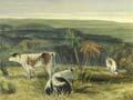 ‘The level country at the South end’ 