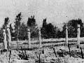 Remains of the pā at Waerenga-a-Hika