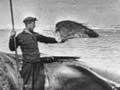 Norwegian whaler, Ross Sea, Antarctica