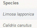 Bird species that migrate to New Zealand