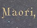 <em>The Aryan Maori</em>