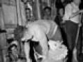 Godfrey Bowen shearing a sheep, 1953