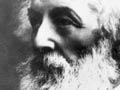  Thomas George Macarthy