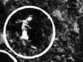 Kaimai crash