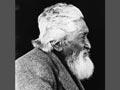  Te Pairi Tūterangi, 'an impressive figure, with white hair and flowing beard'