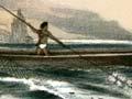Netting kōaro 