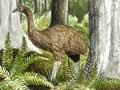Interactive: Forest before human arrival