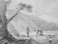 Māori track