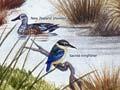 Interactive: Wetland in pre-human times