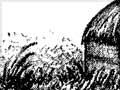 Taupopoki 