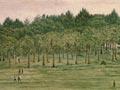 Auckland Domain, around 1890